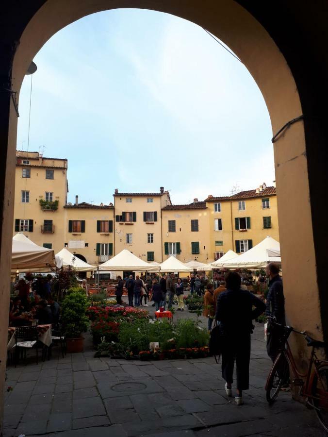 Hotel La Dimora Nell'Anfiteatro Lucca Exteriér fotografie